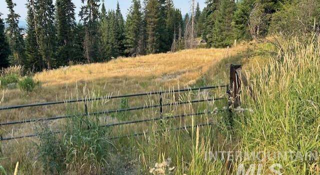 Photo of 1300 Mother Lode Rd, Elk City, ID 83525