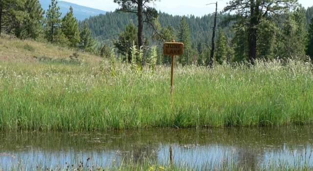 Photo of TBD National Forest Dev Rd #1170 Rd, Sumpter, OR 97877