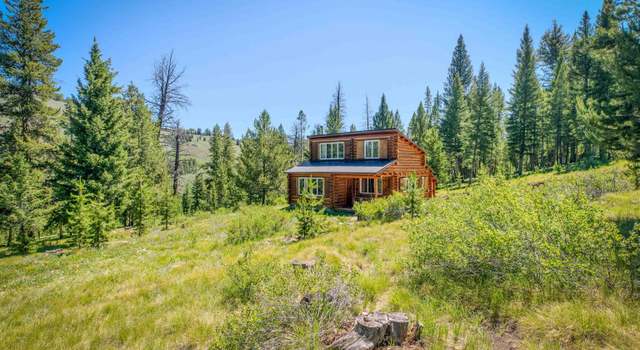 Photo of 734 Brady Ln, Stanley, ID 83278