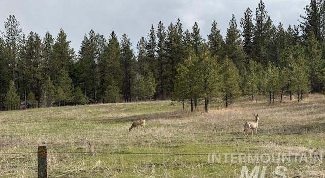 Photo of 30 Acres Anatone, Anatone, WA 99401