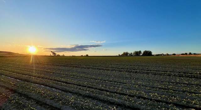 Photo of TBD Mcelroy Rd, Melba, ID 83641
