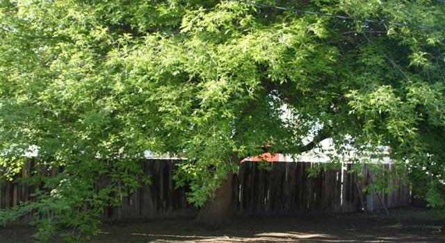 Photo of 608 E Galveston, Caldwell, ID 83605