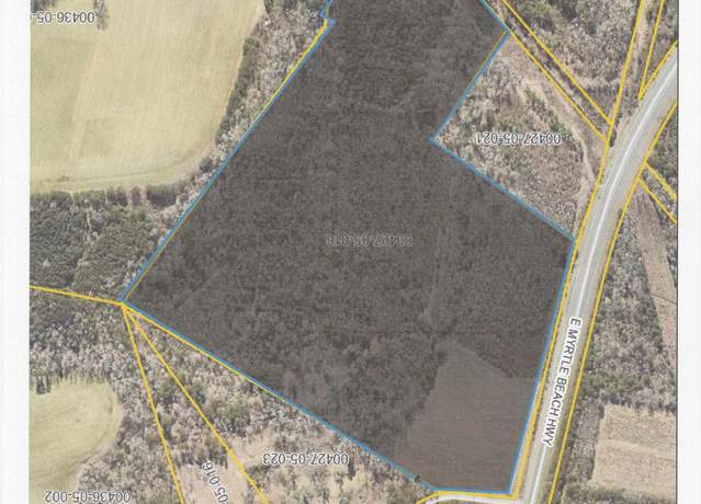 Property at TBD East Myrtle Beach Hwy, Johnsonville, SC 29555
