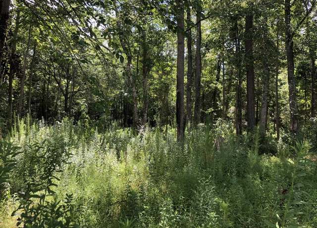 Property at 6135 lot 2 Lot 2 Red Bluff Rd, Loris, SC 29569