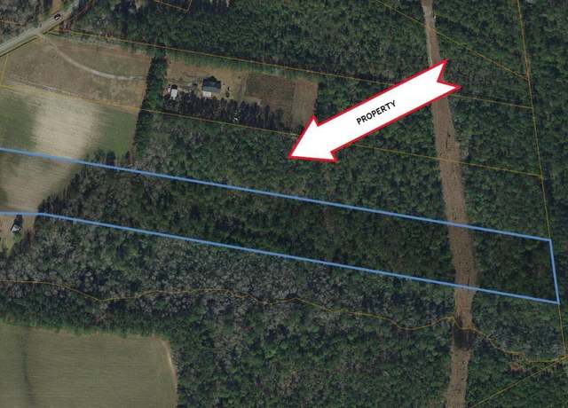Property at TBD Highway 712, Galivants Ferry, SC 29544
