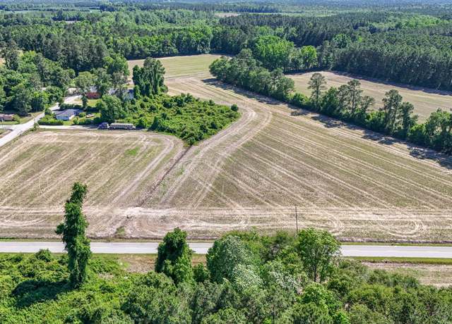 Property at TBD Francis Gibson Rd, Centenary, SC 29519