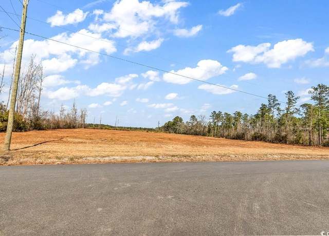 Property at TBD Bellaire Dr, Nichols, SC 29581