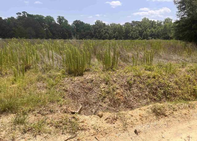 Property at TBD Watts Rd, Loris, SC 29569