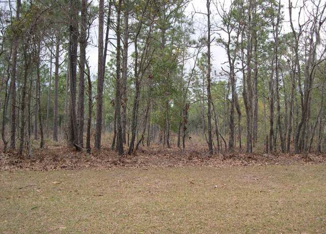Property at 73 Pineberry Dr, Georgetown, SC 29440