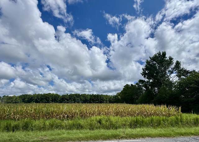 Property at TBD Pearl Rd, Galivants Ferry, SC 29544