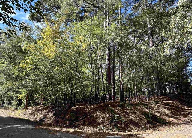 Property at TBD Teal St, Chesterfield, SC 29709