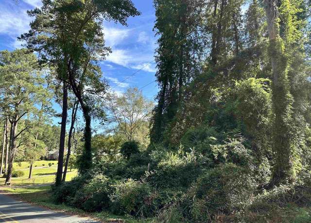 Property at TBD Ivy Ave, Chesterfield, SC 29709