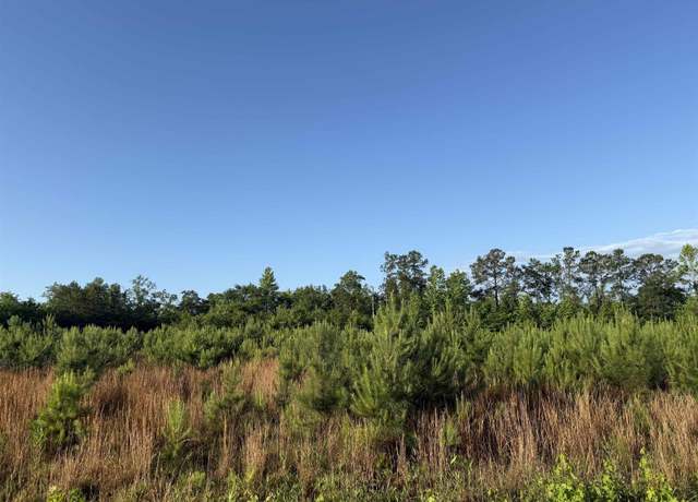 Property at 7 Acres Old Pee Dee Rd, Hemingway, SC 29554