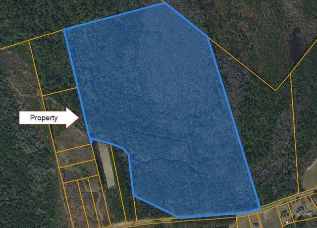 Property at TBD Highway 430, Nichols, SC 29581