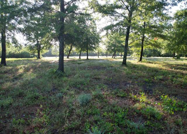 Property at 10 Acres - TBD Cohen Dr, Hemingway, SC 29554