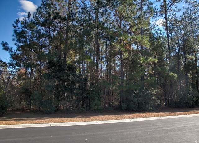 Property at 172 Lor 28 - Bellwood Landing Of Prince Creek Low Country Loop, Murrells Inlet, SC 29576