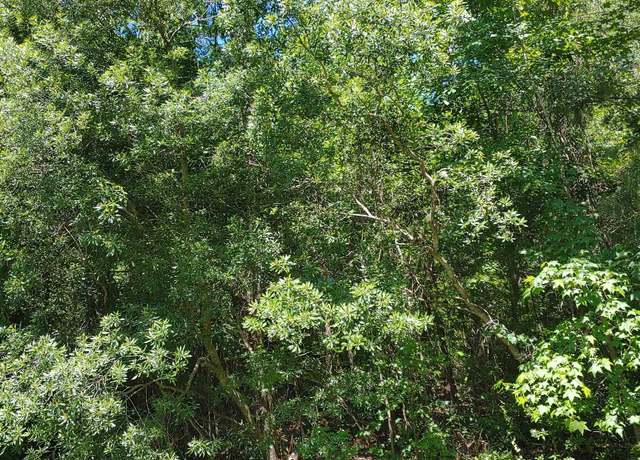 Property at Annie Rainey Ln, Pawleys Island, SC 29585