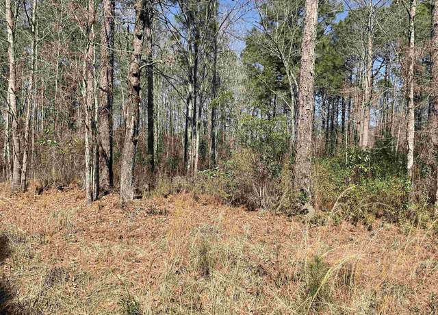 Property at TBD Florence Ln, Kingstree, SC 29556