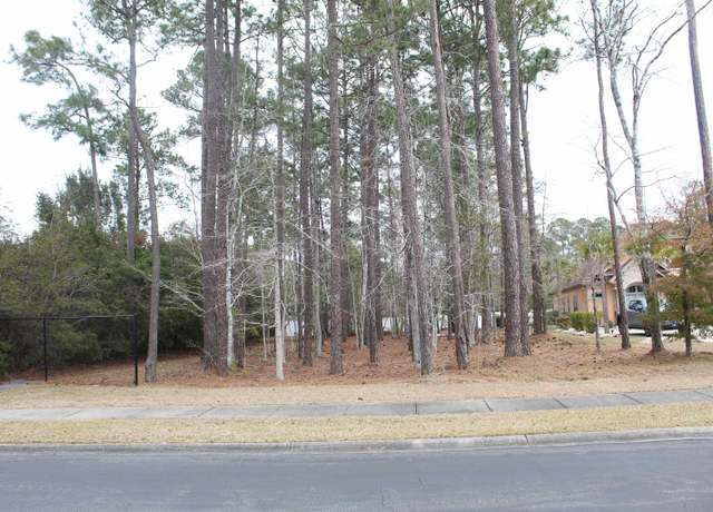 Property at 4001 Blackwood Ct, Myrtle Beach, SC 29588