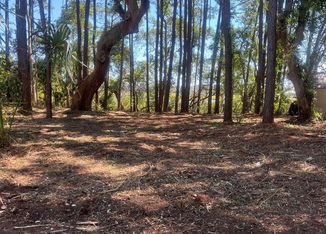 Property at 161 Sea Level Loop, Pawleys Island, SC 29585