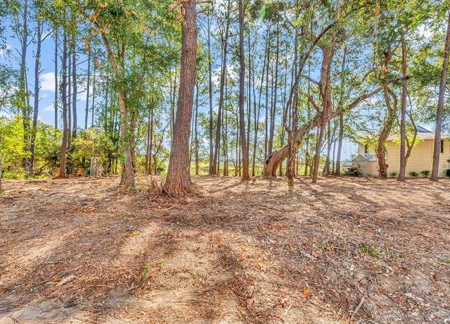 Property at 161 Sea Level Loop, Pawleys Island, SC 29585