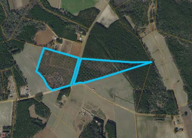 Property at TBD11X Nichols Hwy, Nichols, SC 29581