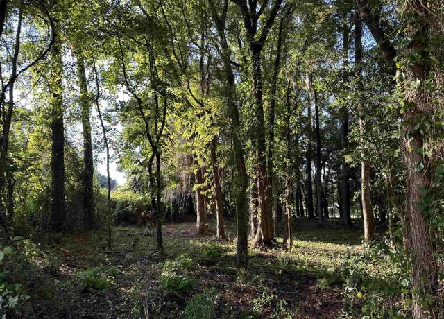 Property at 505 Wraggs Ferry Rd, Georgetown, SC 29440
