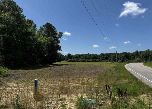 Property at TBD 23.20 AC Highway 45, Loris, SC 29569