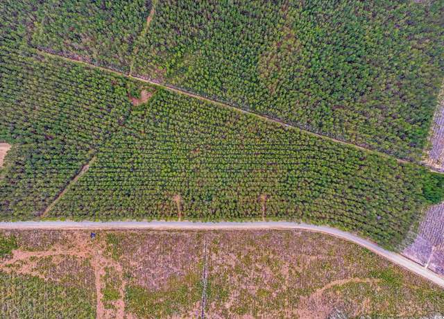 Property at TBD Joyner Swamp Rd, Galivants Ferry, SC 29544