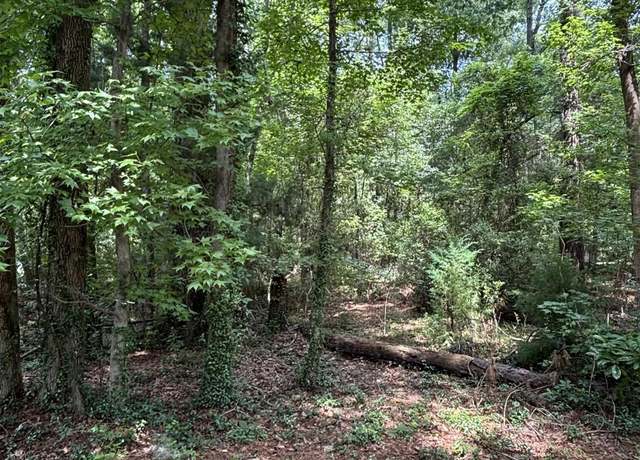 Property at 189 Lot 105 William Screven St, Georgetown, SC 29440