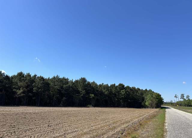 Property at TBD Mcclellan Rd, Hamer, SC 29547