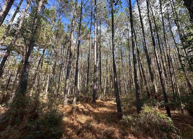 Property at 26 Acres-TBD Puncheon Creek Dr, Andrews, SC 29510