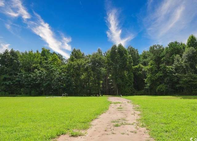 Property at TBD Spring Branch Rd, Nichols, SC 29581