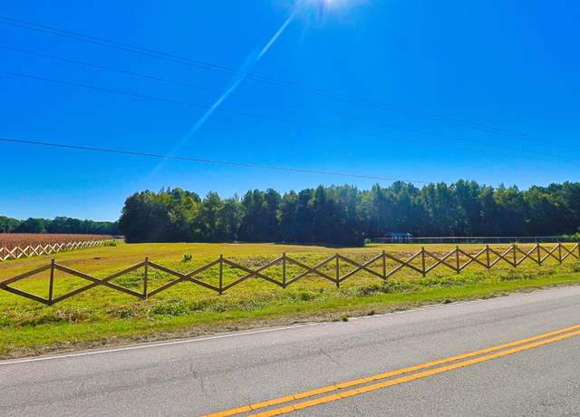 Property at TBD Spring Branch Rd, Nichols, SC 29581