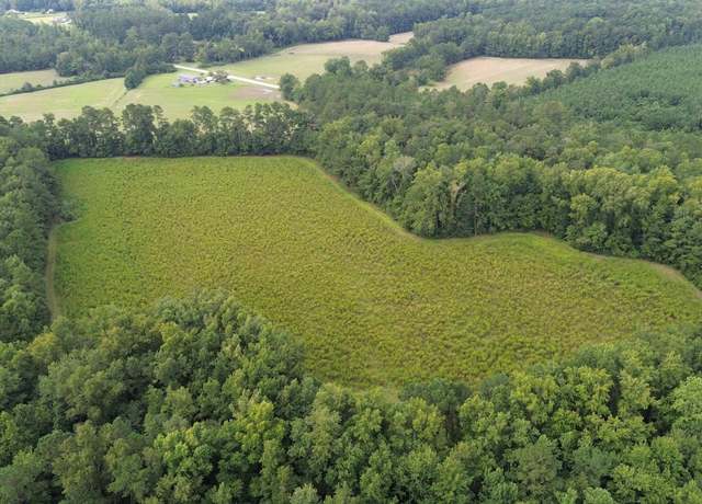 Property at TBD 35.77 Acres Fries Bay Rd, Loris, SC 29569