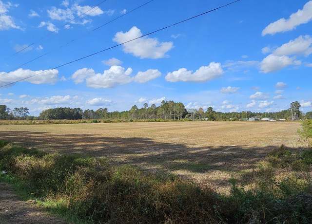 Property at TBD Billy Mc Rd, Green Sea, SC 29545