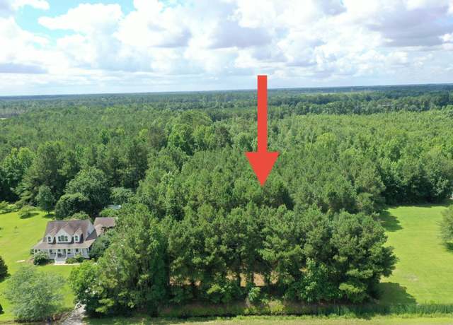 Property at TBD Hamps Rd, Nichols, SC 29581