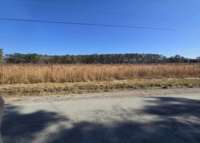 Property at E/S Lot 8 Jewel Ln, Conway, SC 29527