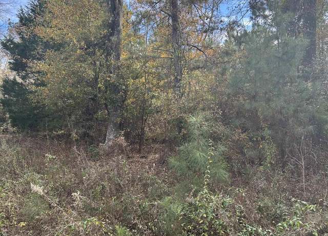 Property at 89 Jerusalem Dr, Kingstree, SD 29556