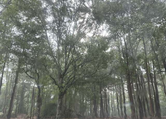 Property at tbd Allen Dew Rd, Conway, SC 29527