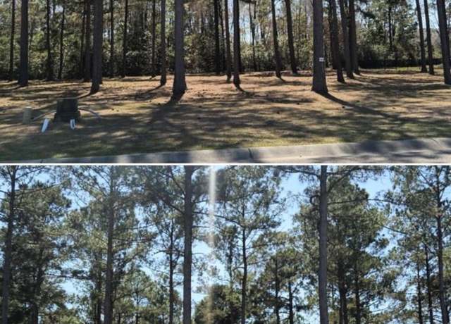 Property at 1148 1152 Fiddllehead Way Fiddlehead Way, Myrtle Beach, SC 29579
