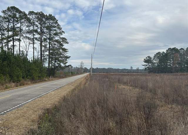 Property at TBD Williams Hill Rd, Hemingway, SC 29554
