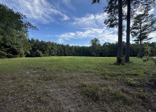 Property at TBD Highway 76, Nichols, SC 29581