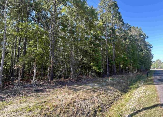 Property at TBD Buck Dr, Georgetown, SC 29440
