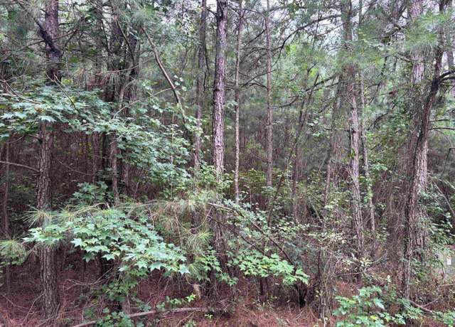 Property at Lot 5-D Mcgregor St, Lake City, SC 29560