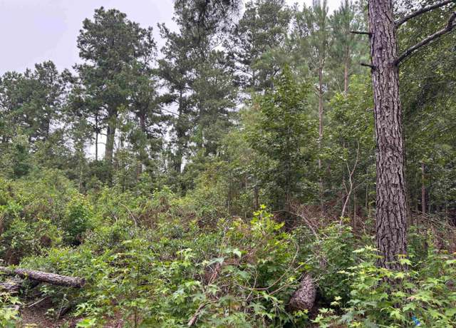Property at Lot 10-D Mcgregor St, Lake City, SC 29560
