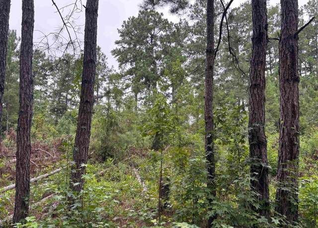 Property at Lot 11-D Mcgregor St, Lake City, SC 29560