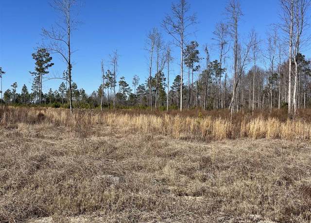 Property at 2686 Scarbrough Dr, Loris, SC 29569
