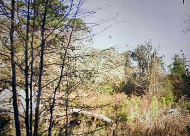 Property at 1058 Savannah Bluff Rd, Conway, SC 29526