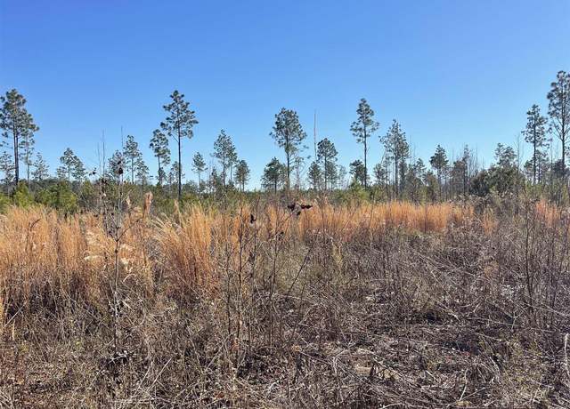 Property at 595 Tract 10 Mincey Dr, Loris, SC 29569